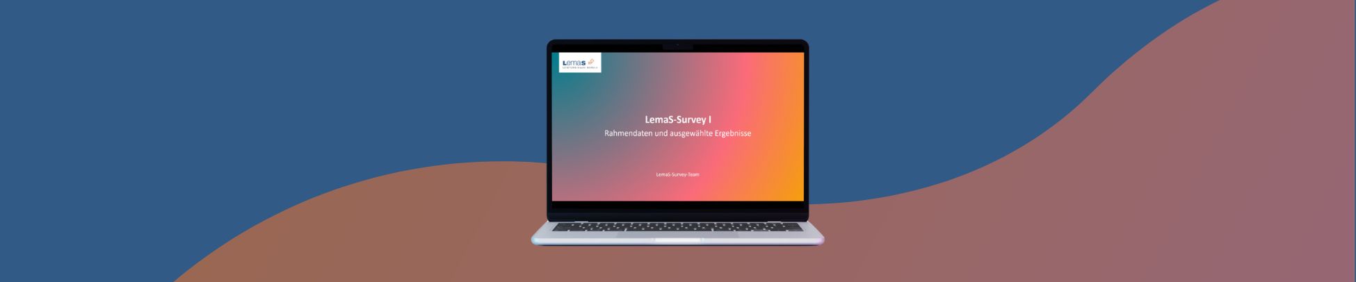 Lemas Survey 1 LemaS Befragung 1