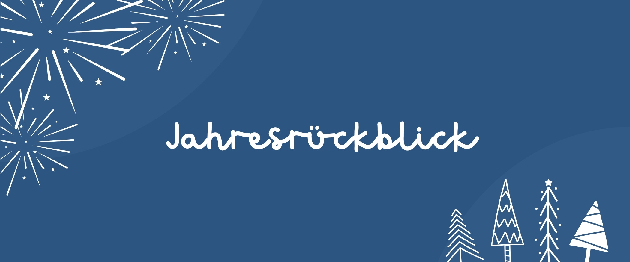 LemaS-Weihnachten-hoch Der Jahresrückblick von LemaS