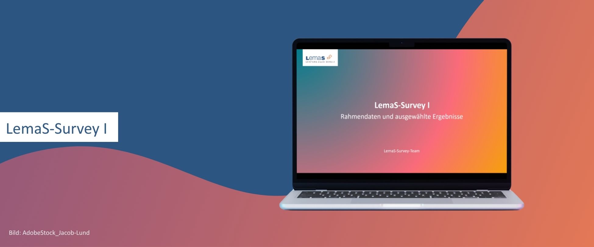 LemaS-Survey - mobil LemaS Befragung 1 mobil